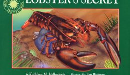 LobstersSecret